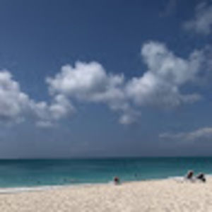 Meet your Posher, Steve